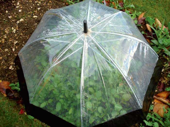 Не торопитесь выкидывать старые зонты и тазы — идеи для клумб на даче