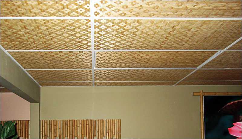 Натяжные потолки в прихожей — 115 фото красивого дизайна. обзор материалов и узоров для отделки потолка.