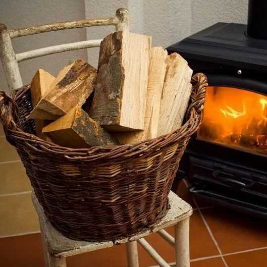 Как выбрать дрова: лучшие породы, чтобы было больше тепла - темы недели - журнал