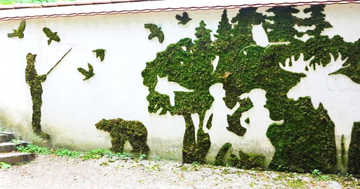 Стены из мха. озеленение дома: живые стены и композиции из мхов как сделать надпись из мха