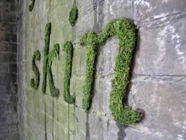 Искусственный мох для декора стен - существующие варианты