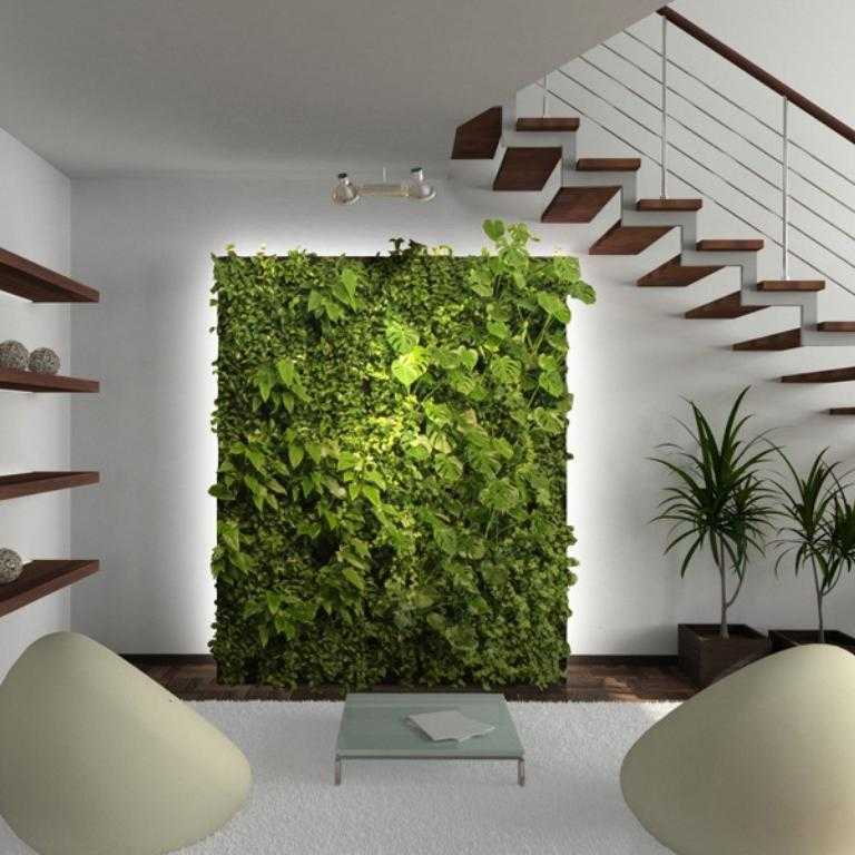 Озеленение дома: живые стены и композиции из мхов. стены из мха как сделать стену из мха своими руками