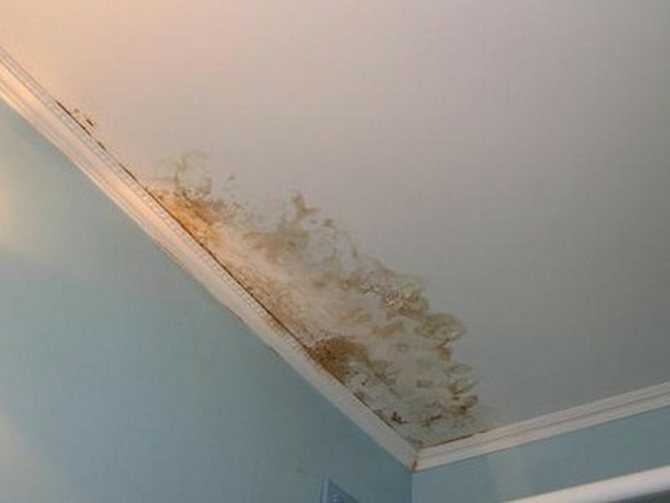 Пятна на потолке после затопления: как вывести желтые следы, способы ремонта для различных типов конструкций