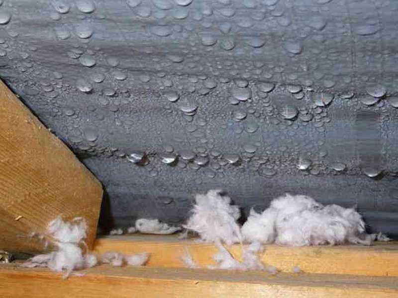 Конденсат в погребе на потолке: как избавиться от сырости