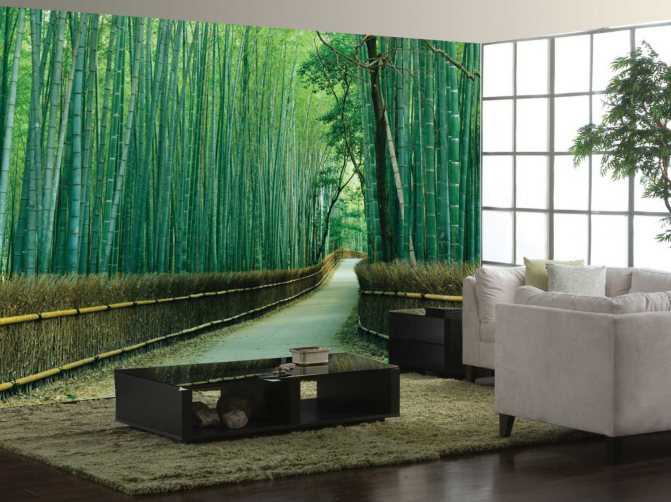 Бамбуковые обои: виды, фото в интерьере, цвет, комбинирование, как клеить, уход